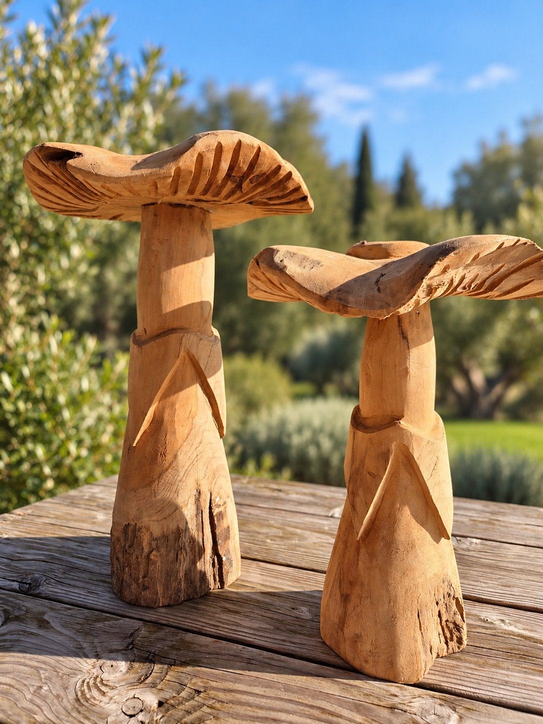 Tuindecoratie massief eiken paddestoelen, Ophalen