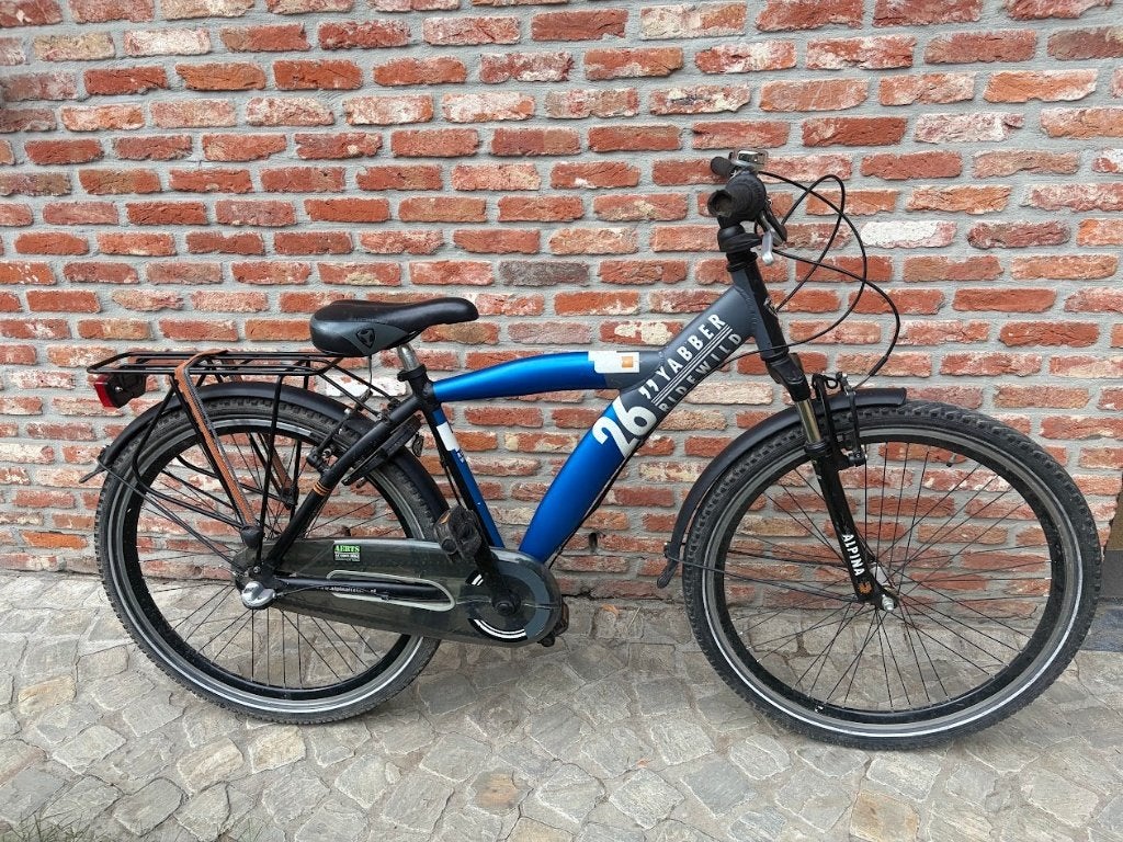 Alpina 26 inch, Gebruikt, Velgrem, Alpina, Handrem