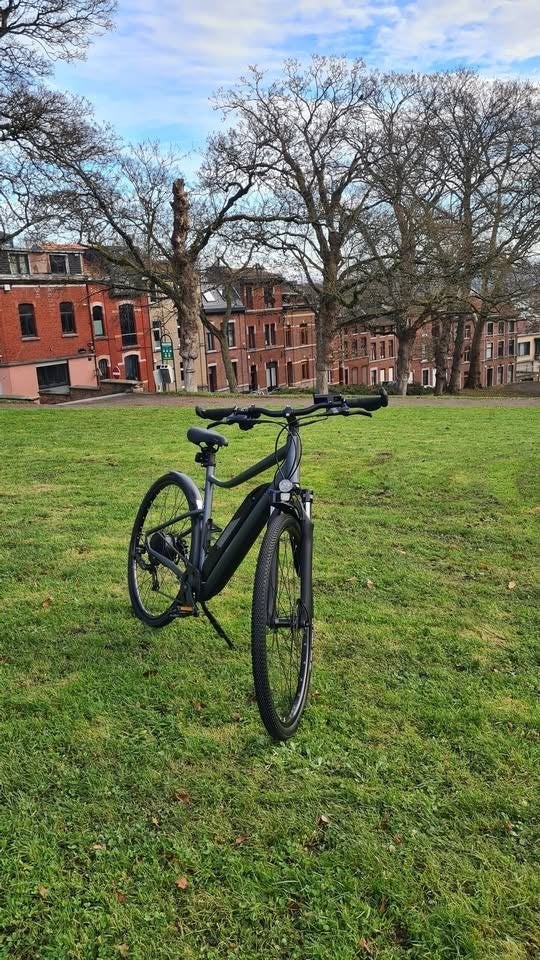 Vélo électrique Riverside 520E, Autres marques, 51 à 55 cm, 50 km par batterie ou plus, Enlèvement