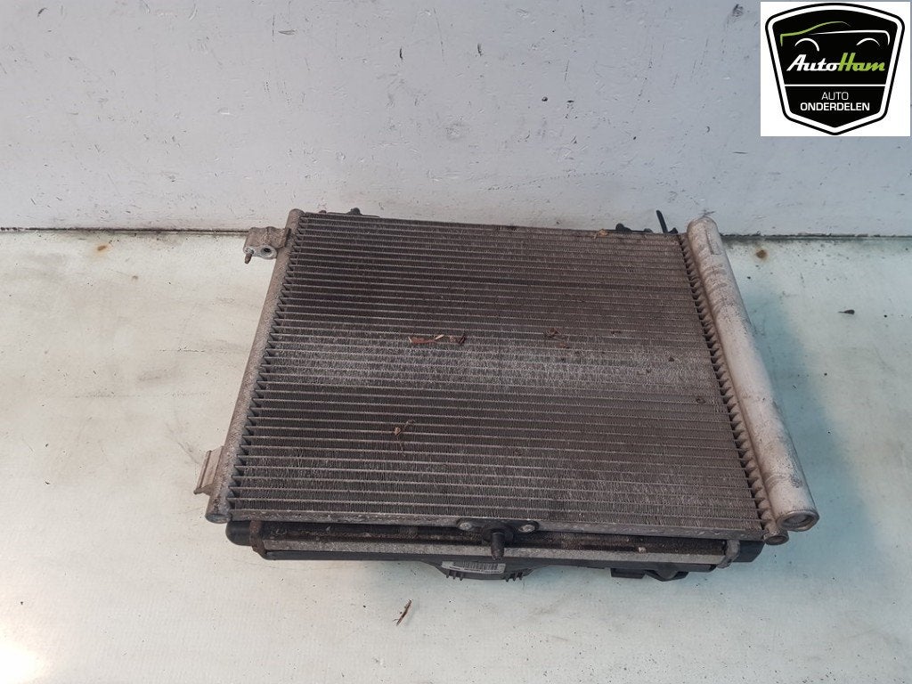 RADIATEUR COMPLET Peugeot 207 SW (WE / WU) (01-2007/12-2013), Dhr. J. Ham, Administratie@autoham.nl, Utilisé, Peugeot