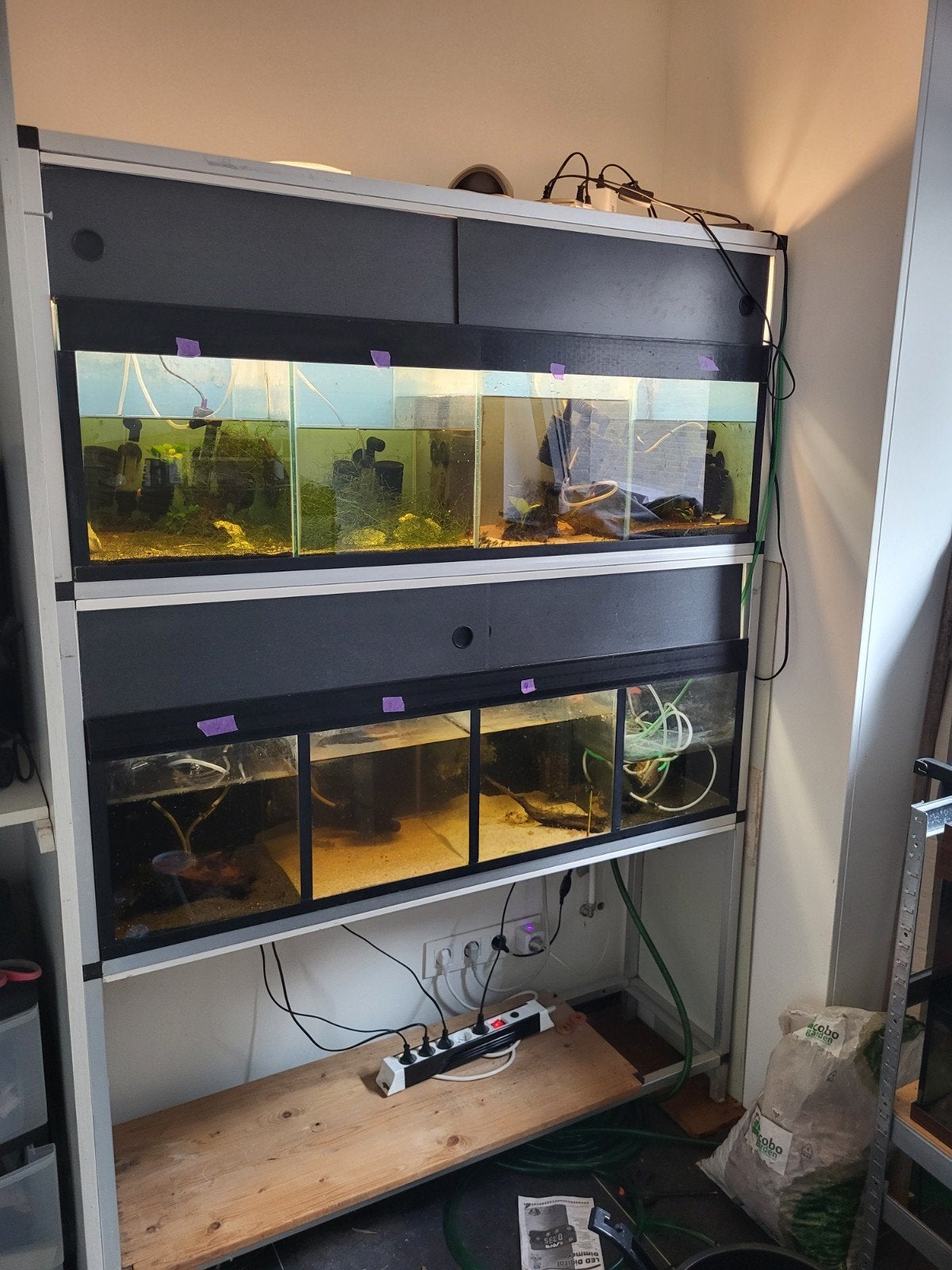 aquarium stelling. nu met 2 bakken, verdeeld in 4, Ophalen