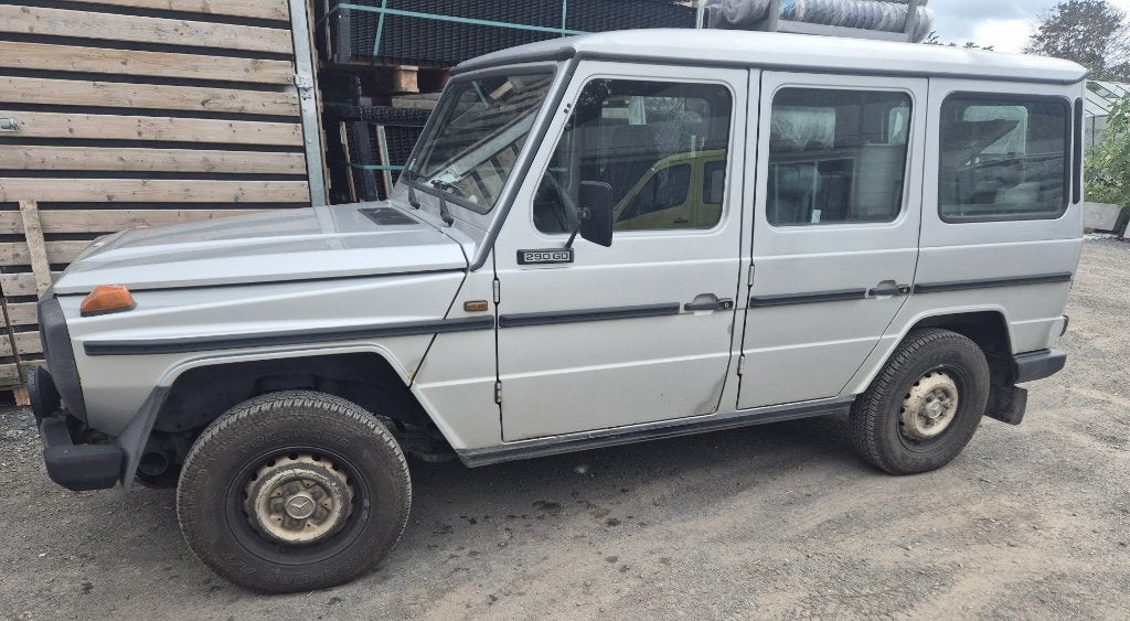 Mercedes G290, Auto's, Automaat, G-Klasse, Bedrijf, Diesel