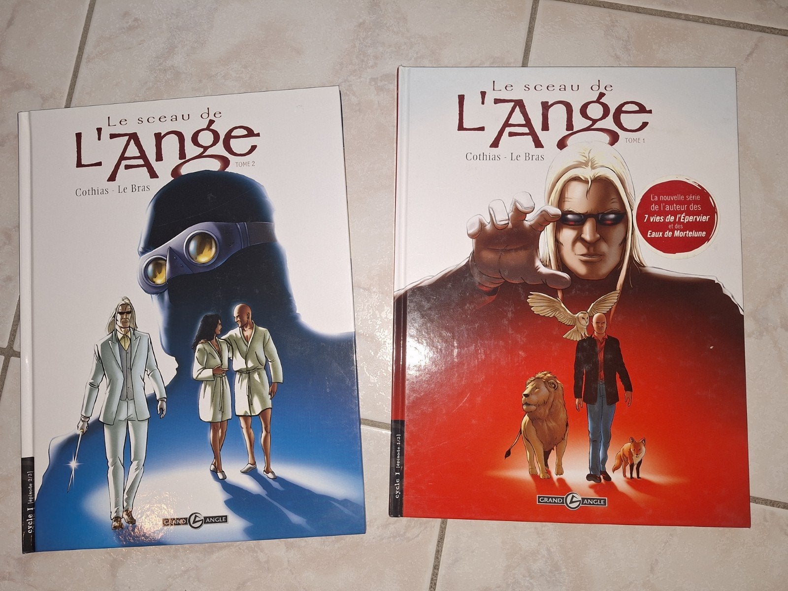 Lot de 2 Bd Le Sceau de l'Ange 1,2 Eo pour 10€, Une BD, Enlèvement, Comme neuf