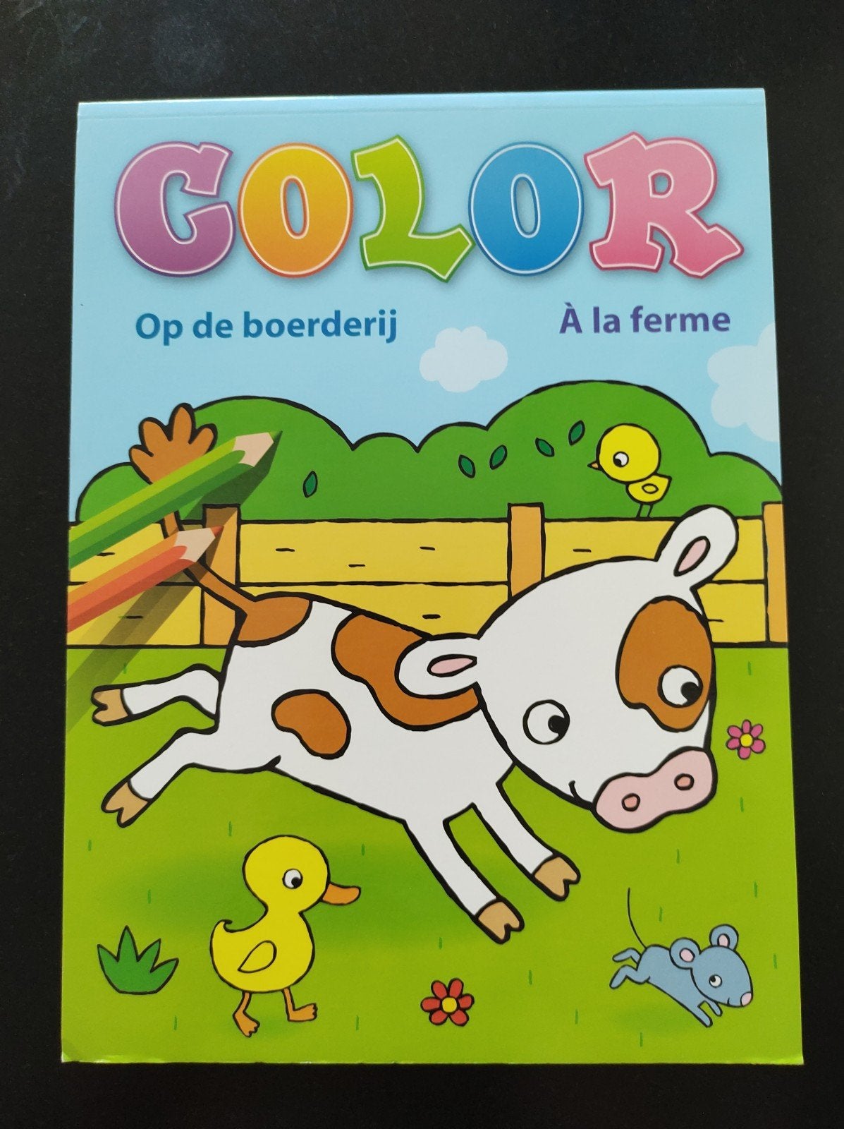 Kleurblok op de boerderij, deltas, nieuw, Ophalen of Verzenden, Nieuw, Knutselen
