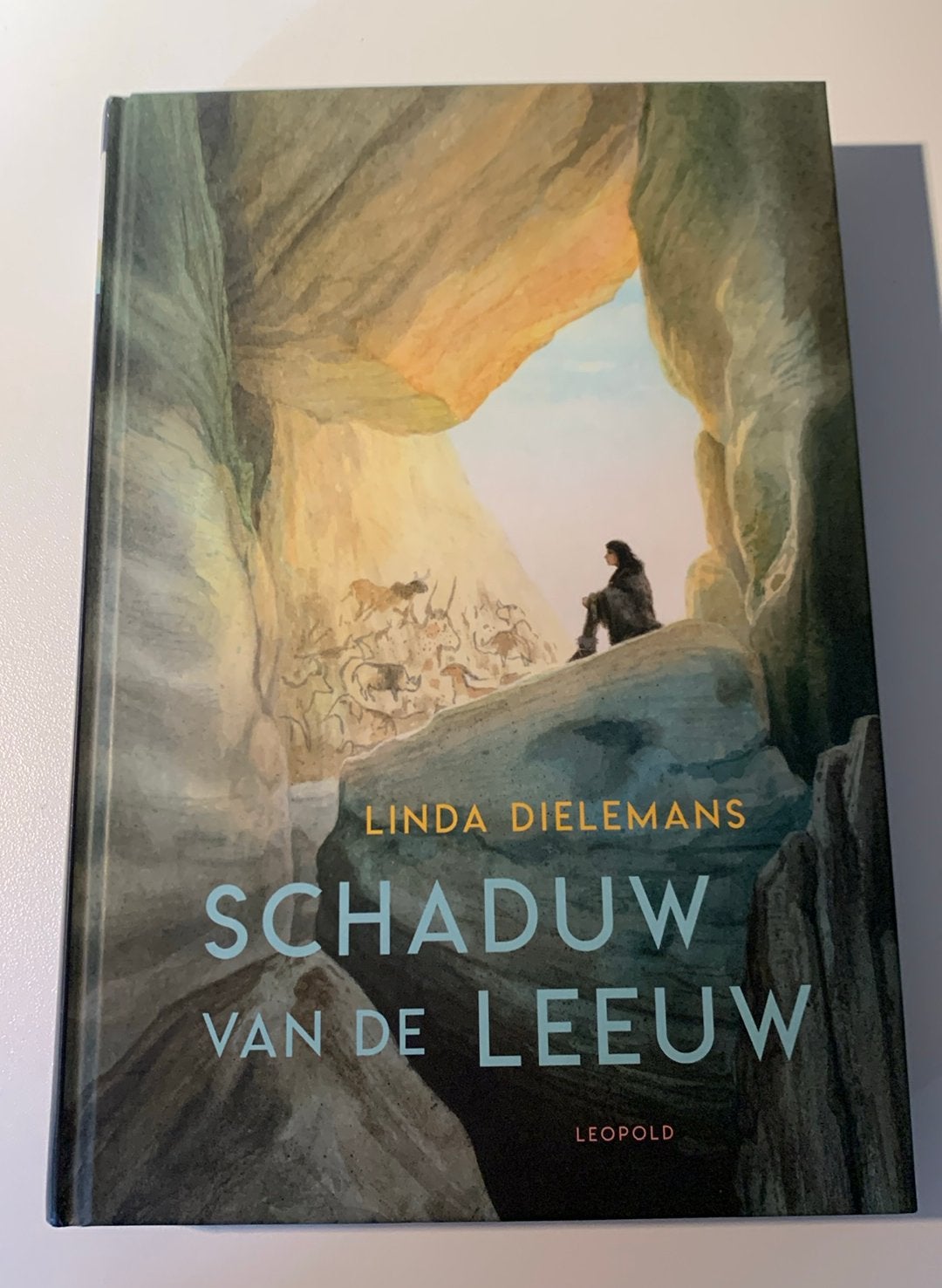 Schaduw van de leeuw - Linda Dielemans, Ophalen of Verzenden, Zo goed als nieuw, Fictie