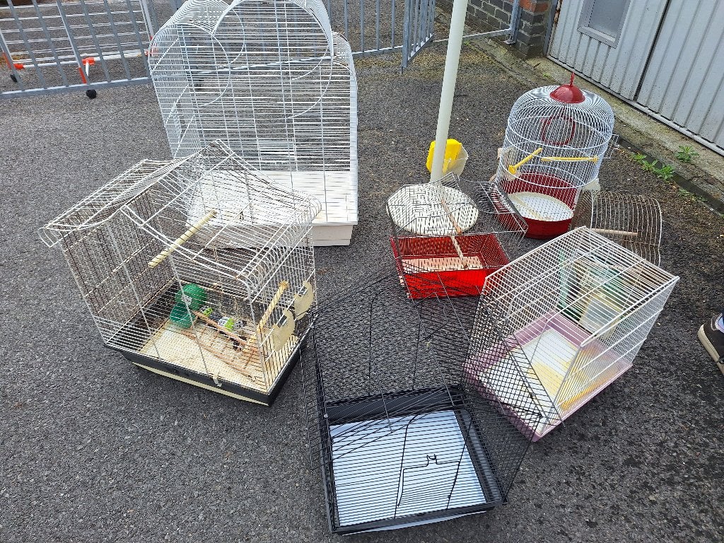 8 vogelkooien te koop, Ophalen