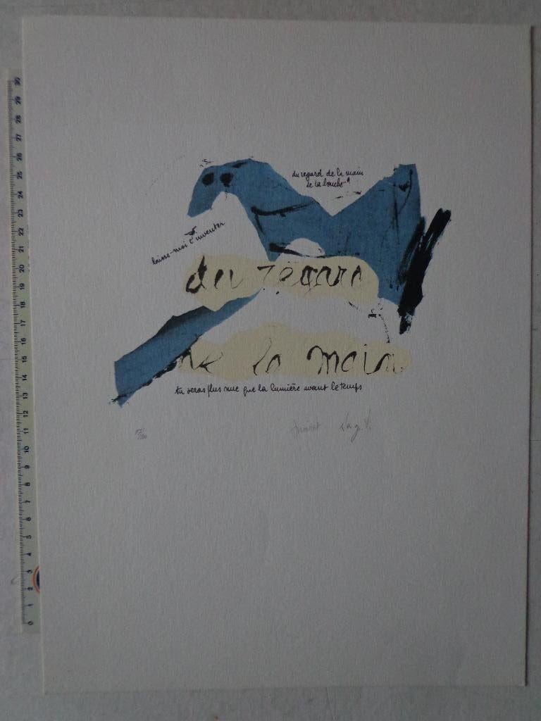 litho of zeefdruk van Joseph Noiret en Serge Vandercam, Ophalen of Verzenden
