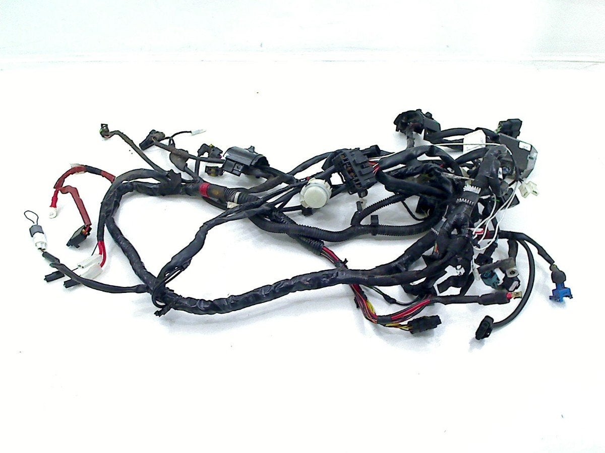 FAISCEAU DE CÂBLAGE DIVERS Piaggio (1D003279), Piaggio, P.J. Troelstraweg 8 8
3144 CX  MAASSLUIS, NL, Info@cama-motorparts.nl