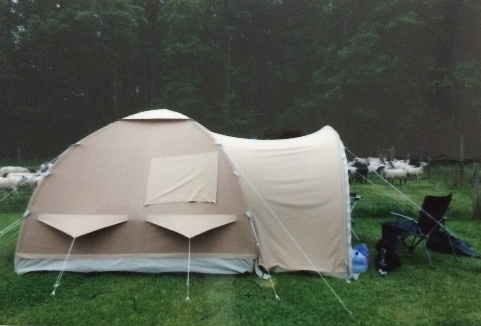 Karstentent 2.80 in Kruiningen, Zeeland., Caravanes & Camping, Enlèvement, Utilisé, Jusqu'à 2