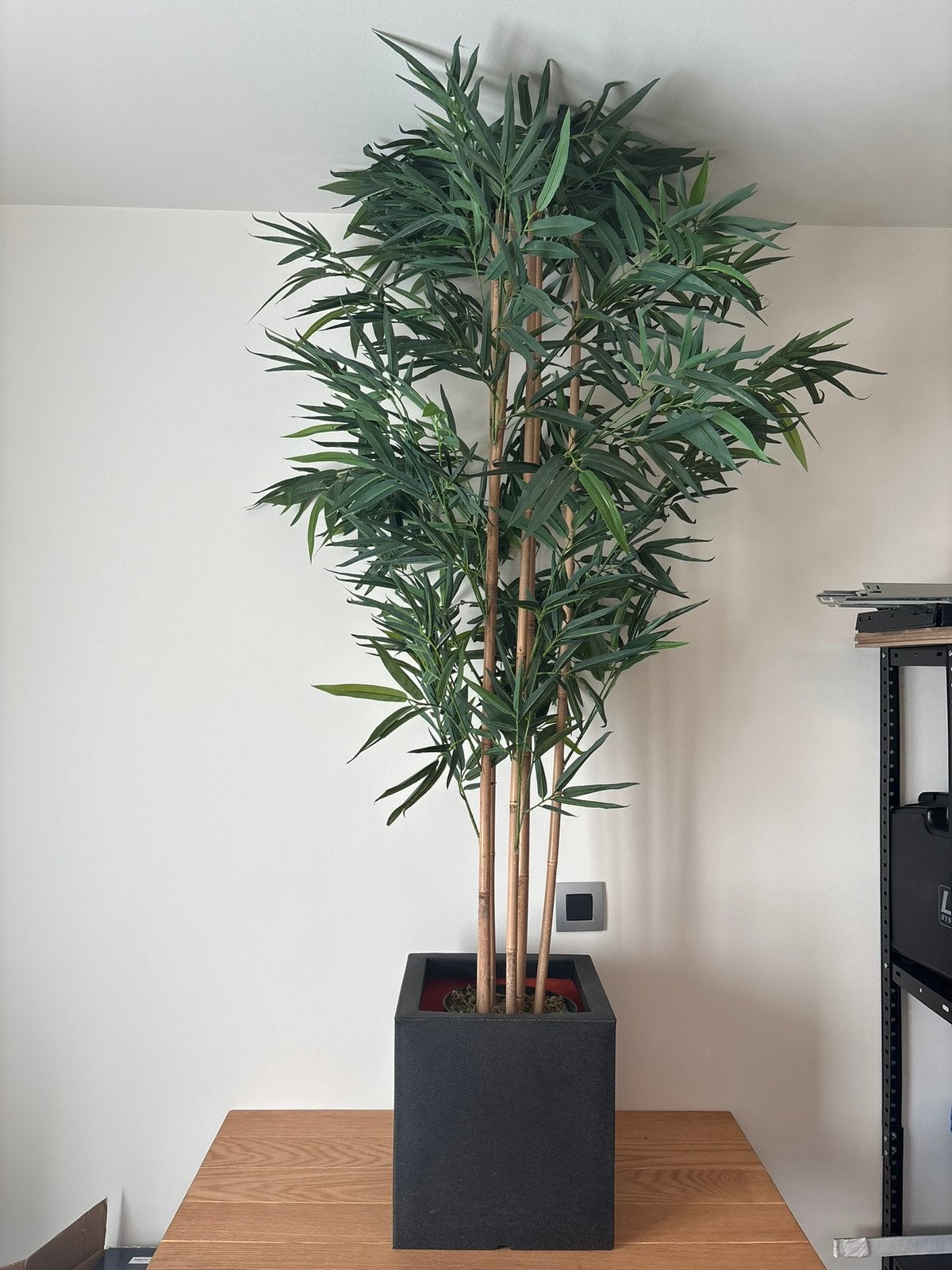 KUNSTPLANTEN & DECORATIEVE PLANTEN – DOE EEN BOD, Vert, Intérieur, Plante artificielle, Comme neuf