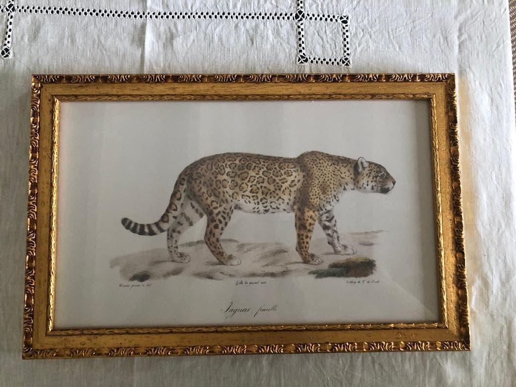 Cadre décoratif "jaguar femelle", Enlèvement ou Envoi, Neuf, Bois