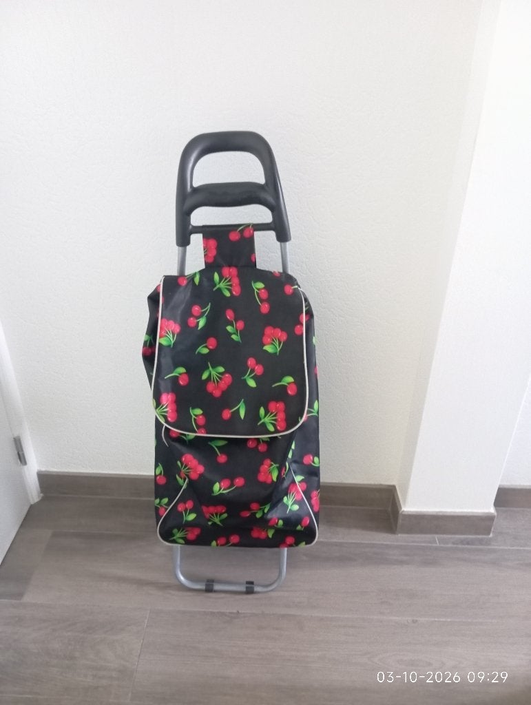 Boodschappentrolley, Handtassen en Accessoires, 40 tot 60 cm, Gebruikt, 20 tot 30 cm, 75 cm of meer