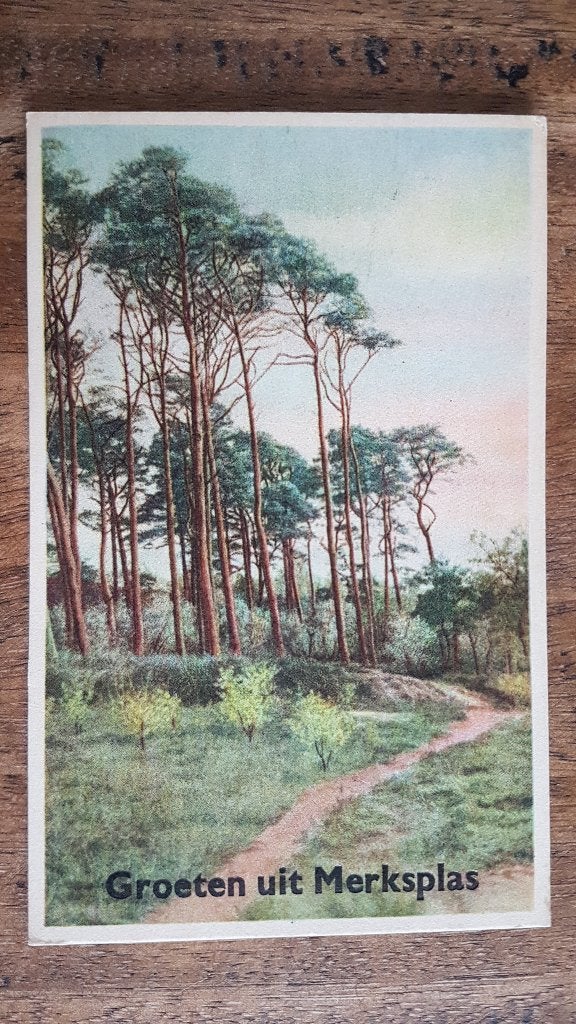 Postkaart Groeten uit Merksplas Bosrand, Verzamelen, Ophalen of Verzenden, 1940 tot 1960, Gelopen, Antwerpen