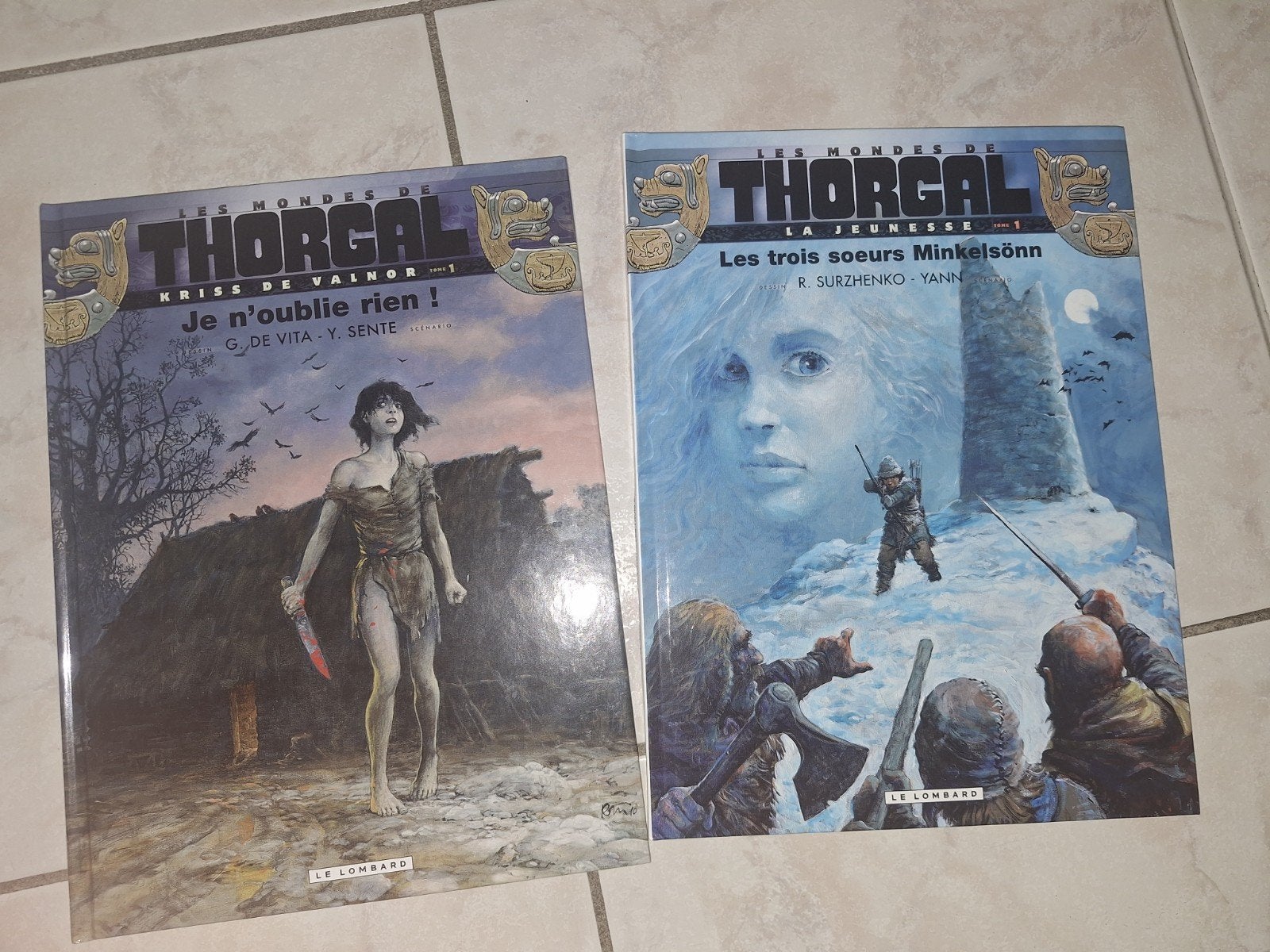 Lot de 2 bd Le Monde de Thorgal pour 10€, Livres, Plusieurs BD, Enlèvement, Utilisé