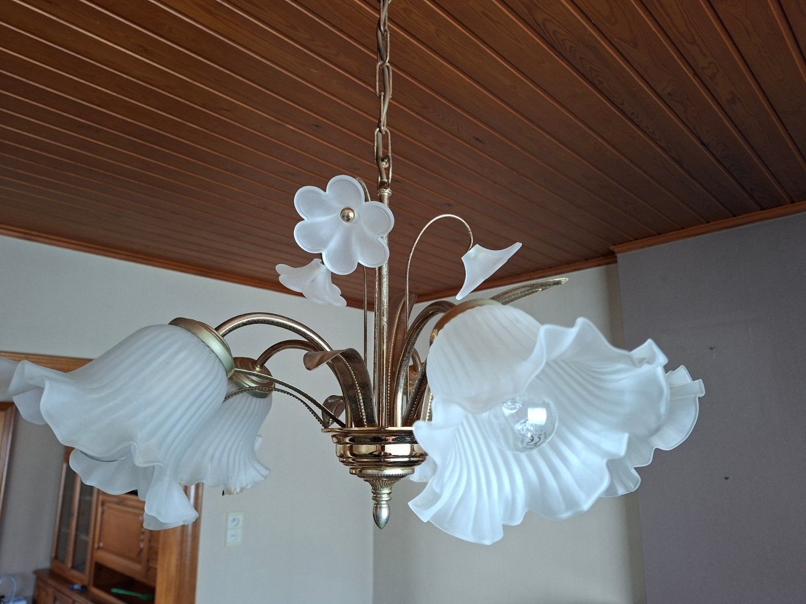 Luster met glazen kapjes, Ophalen, Gebruikt, Glas