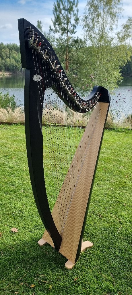 Salvi Titan 38 snaren klepjesharp, Enlèvement, Comme neuf