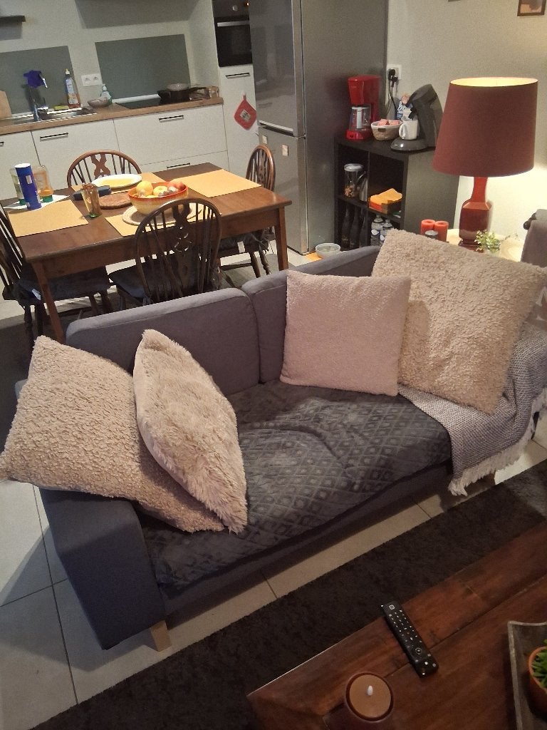 Gratis 2 Bijna nieuwe zetels + 2 tapijten gratis, Ophalen, Tweepersoons, 75 tot 100 cm, Zo goed als nieuw