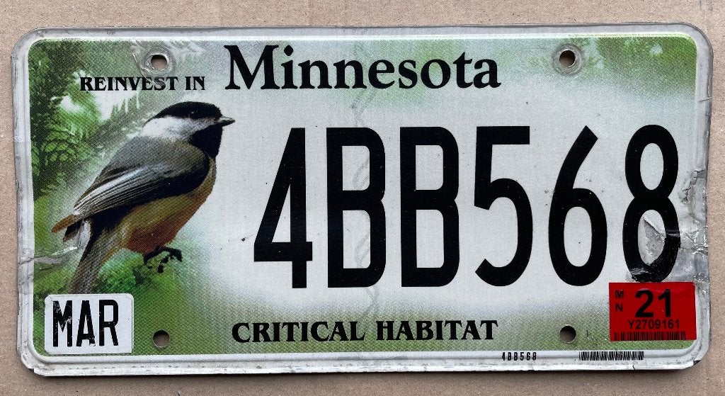 nummerplaat USA Minnesota special plaque d'immatriculation, Ophalen of Verzenden, Gebruikt