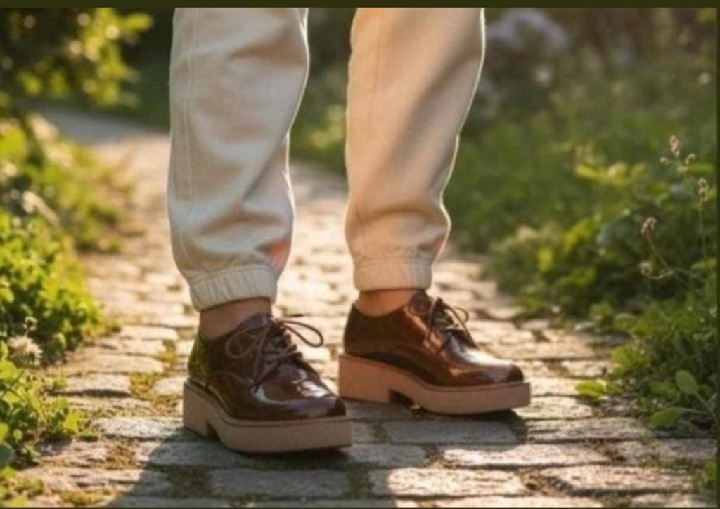 Chaussures SACHA Nice taille 37 en parfait état✨️✨️, Enlèvement ou Envoi, Comme neuf, Brun, Sacha