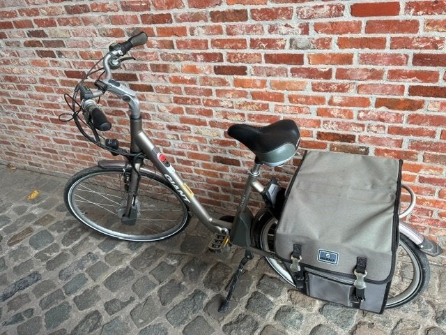 elektrische fiets, Fietsen en Brommers, Ophalen, Gebruikt, Giant, 55 tot 59 cm