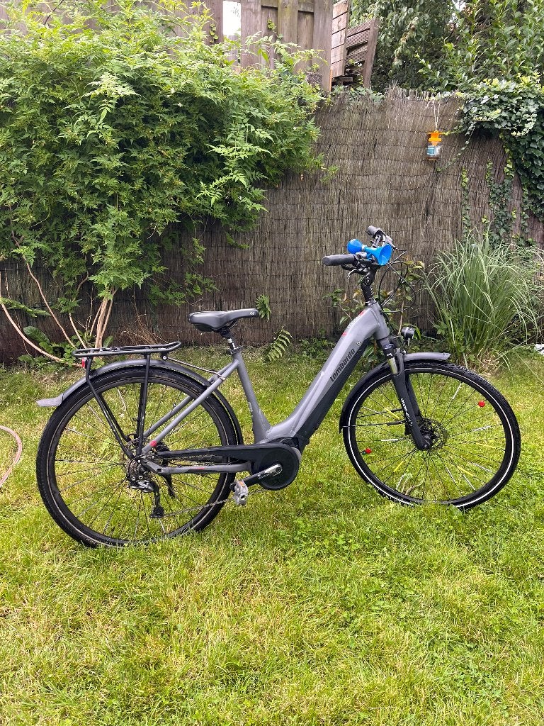 Vélo à assistance électrique, Vélos & Vélomoteurs, Vélos électriques, Autres marques, 47 à 51 cm, 50 km par batterie ou plus, Enlèvement