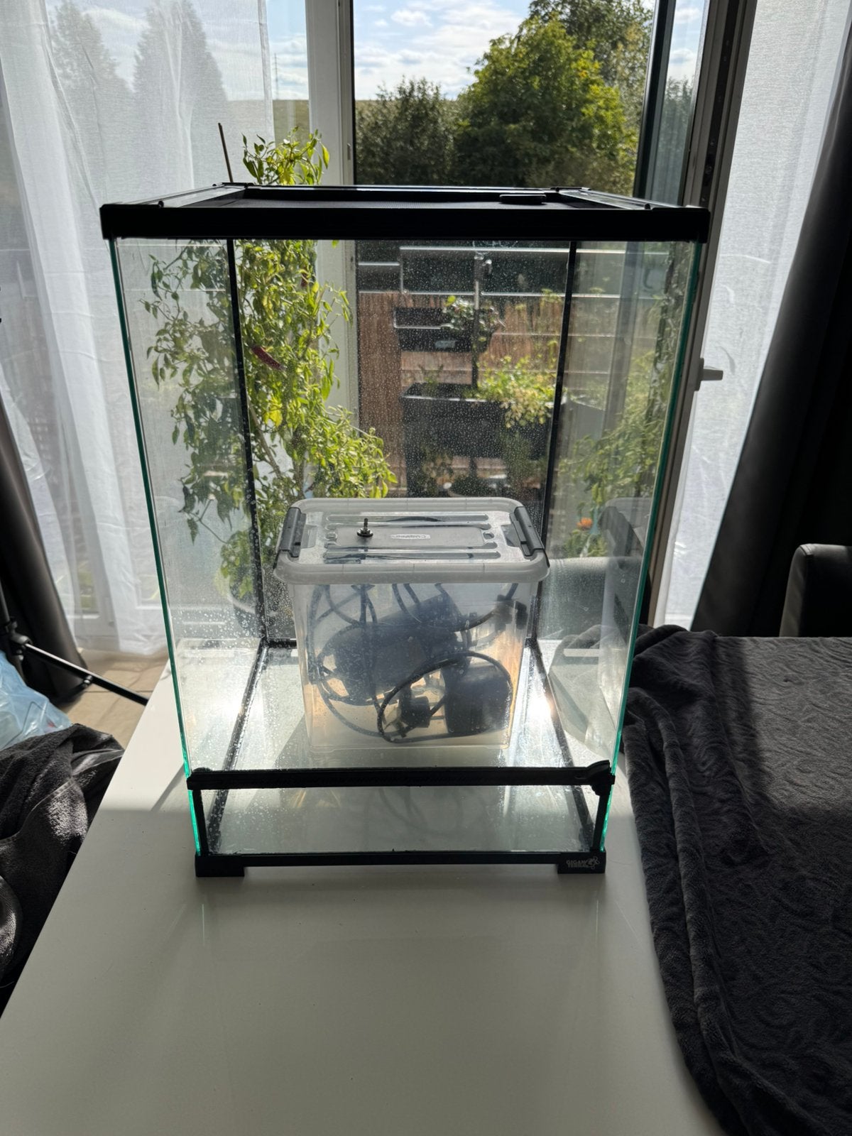 Terrarium GiganTerra 4060 + système de brumisation complet, Animaux & Accessoires, Enlèvement, Comme neuf, Terrarium ou Paludarium
