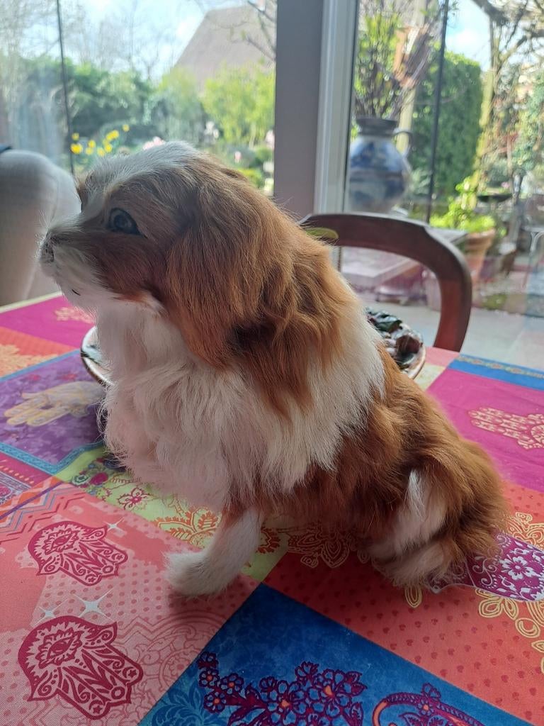Chiot réaliste, fourrure simulée, Enlèvement ou Envoi