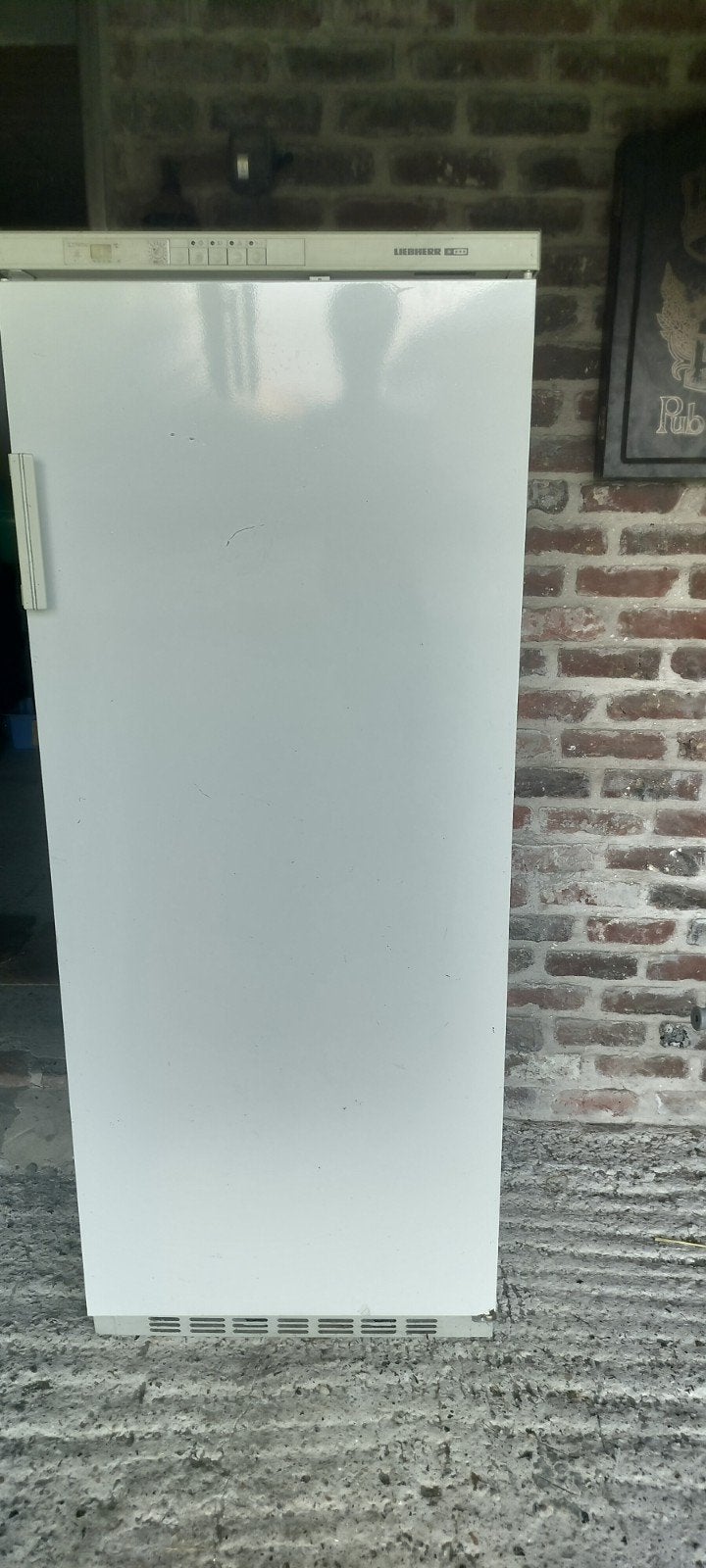 Liebherr diepvries, Ophalen, Gebruikt, 60 cm of meer, 160 cm of meer