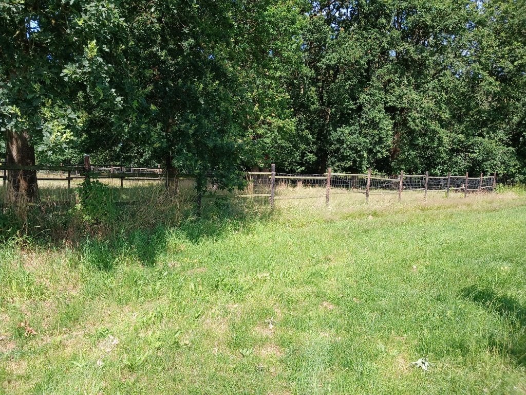 Mooie weide te koop, Herk-de-Stad, Verkoop zonder makelaar, 1500 m² of meer