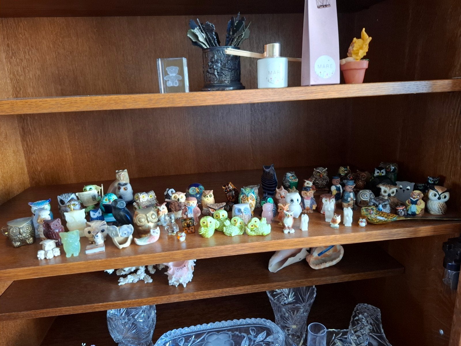 mini beren verzamelaar, Collections, Enlèvement
