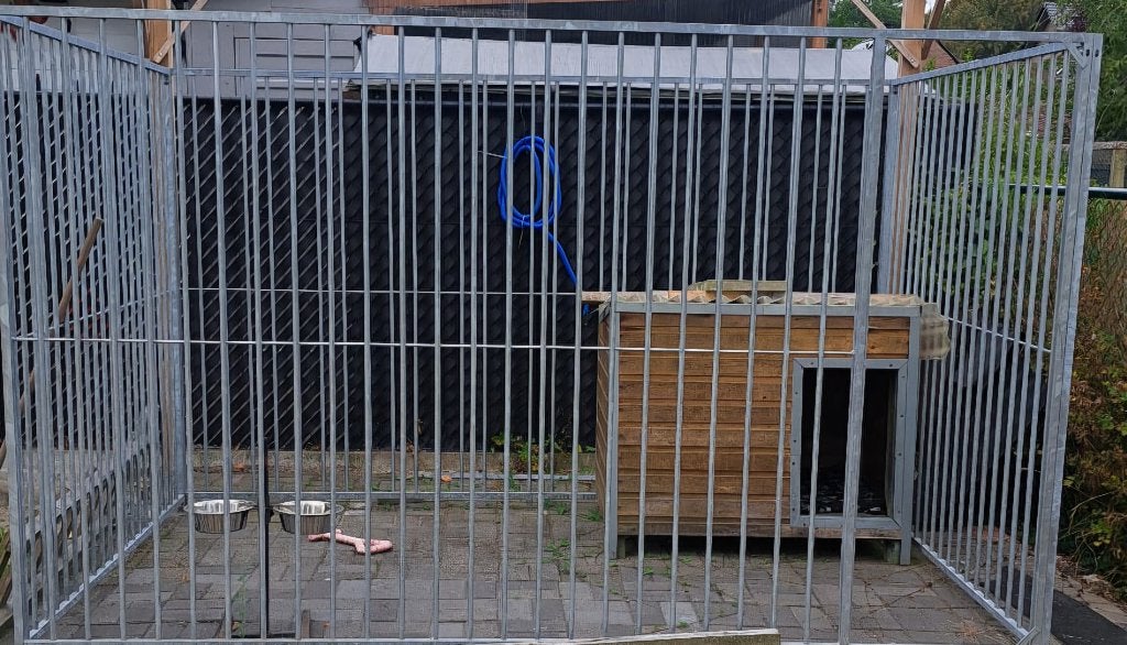 Hondenren, Ophalen, Hondenkennel, 110 cm of meer, 100 cm of meer