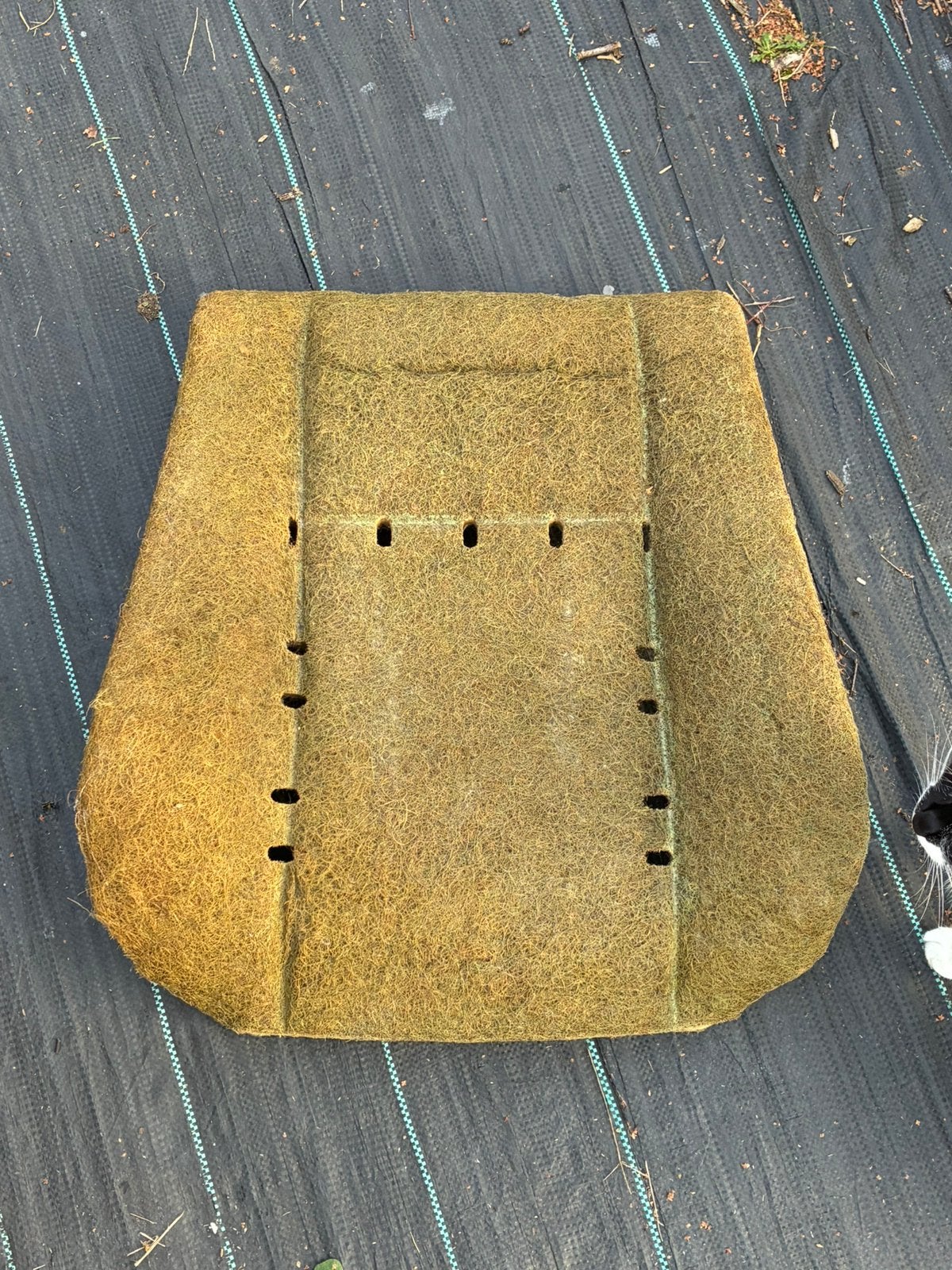 Kokos vulling rug BMW e30 gewone zetel, Auto-onderdelen, Ophalen, BMW