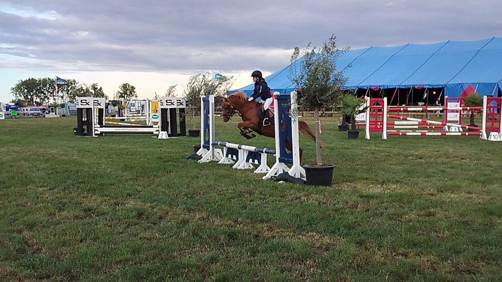 C-pony, Animaux & Accessoires, Poneys, Jument, Poney C (1.27 m à 1.37m), Poney de saut, 11 ans ou plus