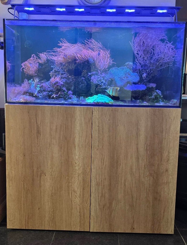 Aqarium, Dieren en Toebehoren, Vissen | Aquaria en Toebehoren, Gevuld zeewateraquarium, Overige merken, Zo goed als nieuw, Ophalen