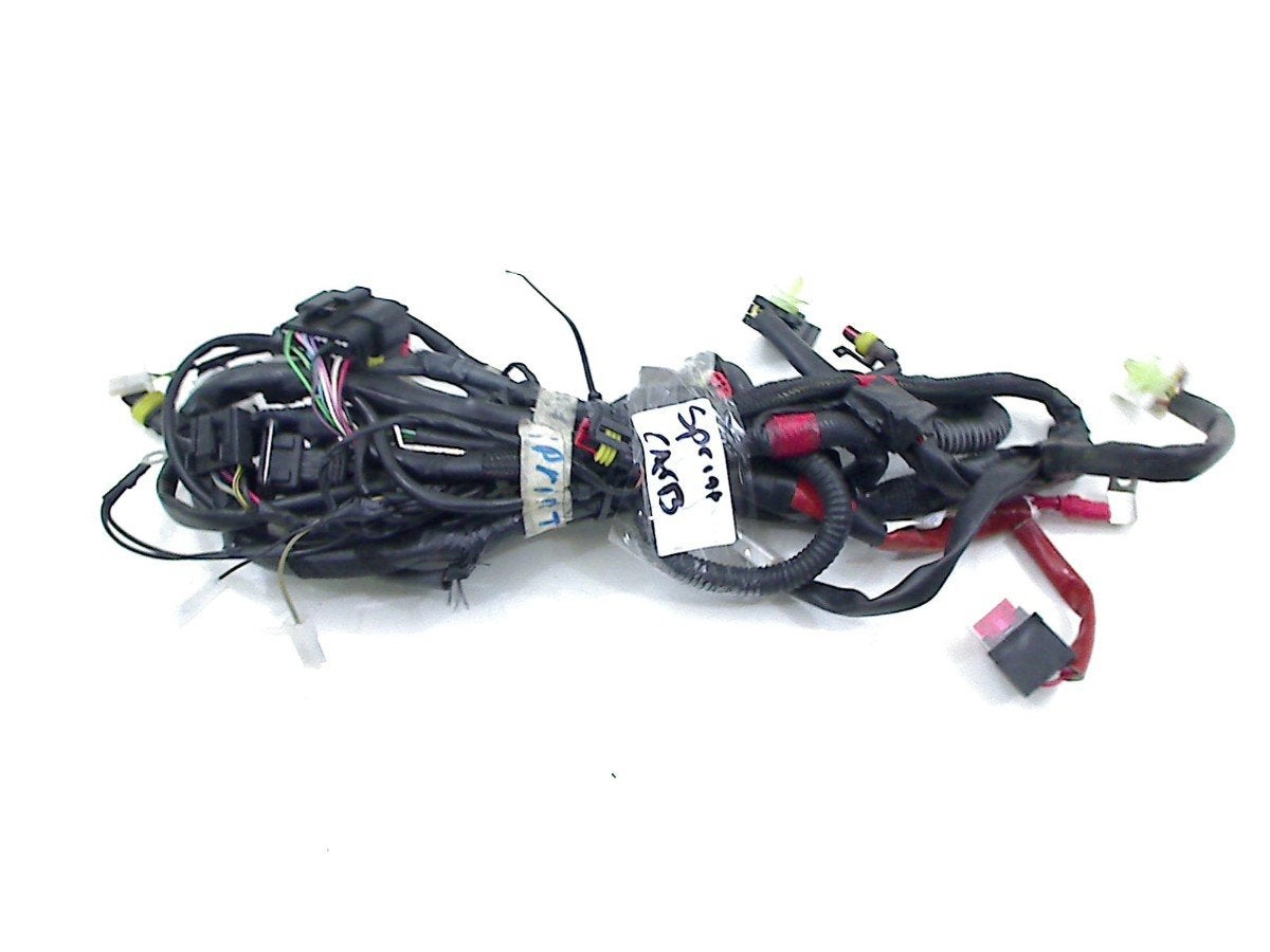 FAISCEAU DE CÂBLAGE DIVERS Piaggio (1D000150), Piaggio, P.J. Troelstraweg 8 8
3144 CX  MAASSLUIS, NL, Info@cama-motorparts.nl