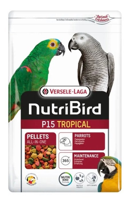 P 15 tropical papegaaien eten