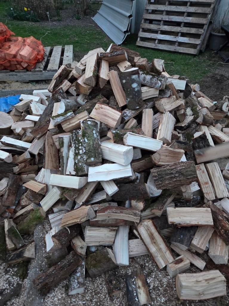 Bois chauffage pour l'hiver prochain, 6 m³ ou plus, Enlèvement, Autres essences de bois, Bûches