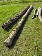 Brandhout gratis, Tuin en Terras, Brandhout, Ophalen, Elzenhout, Takken