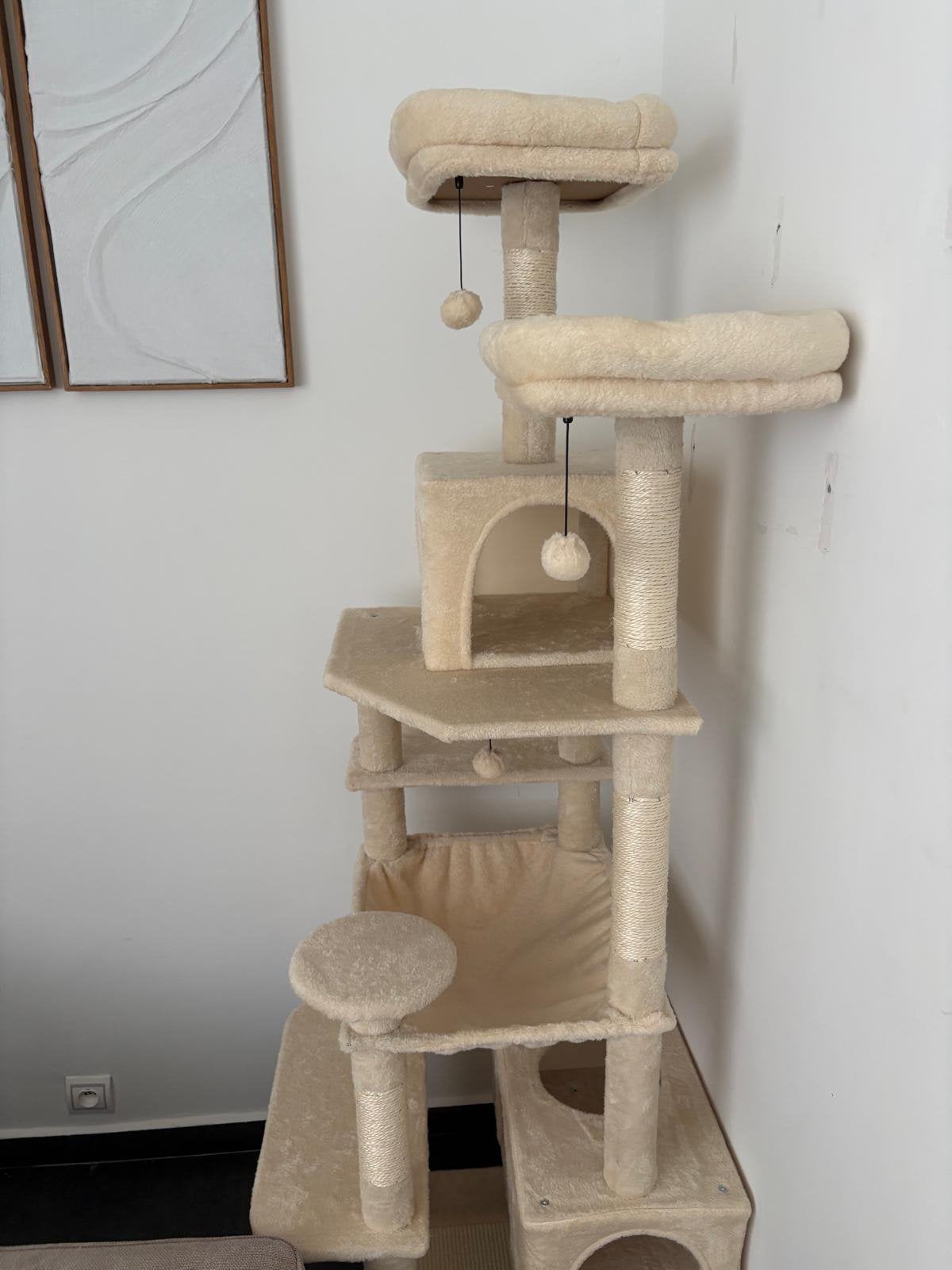 Pack de depart chatons complet accessoires, Dieren en Toebehoren, Katten-accessoires, Ophalen of Verzenden, Zo goed als nieuw