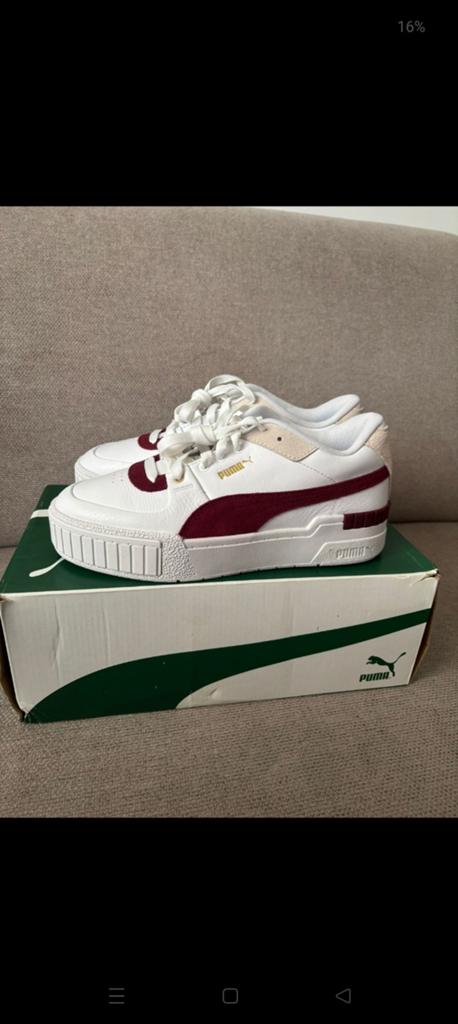 L'héritage sportif de Puma Cali, Enlèvement
