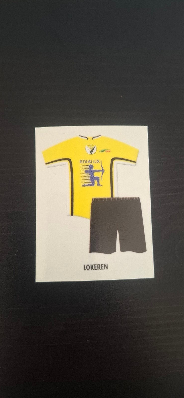 Panini voetbal 2010, Ophalen of Verzenden