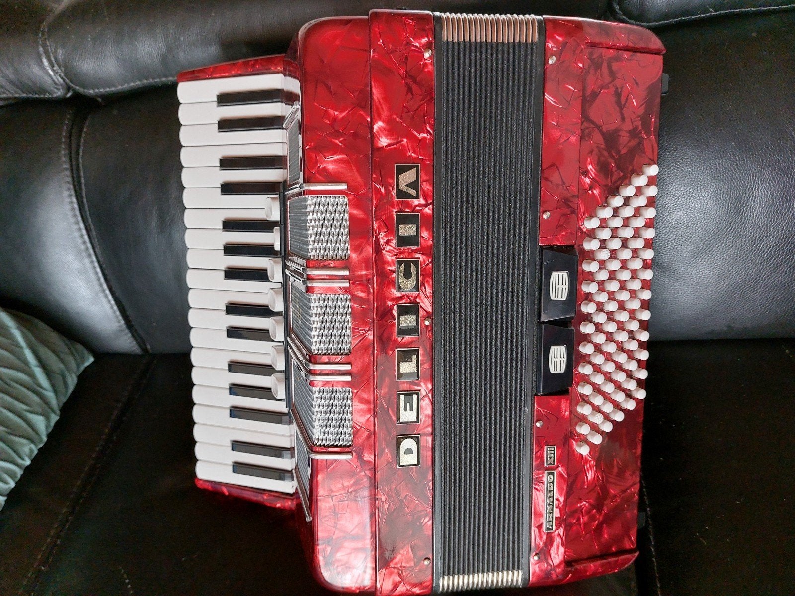 accordeon, Musique & Instruments, Enlèvement