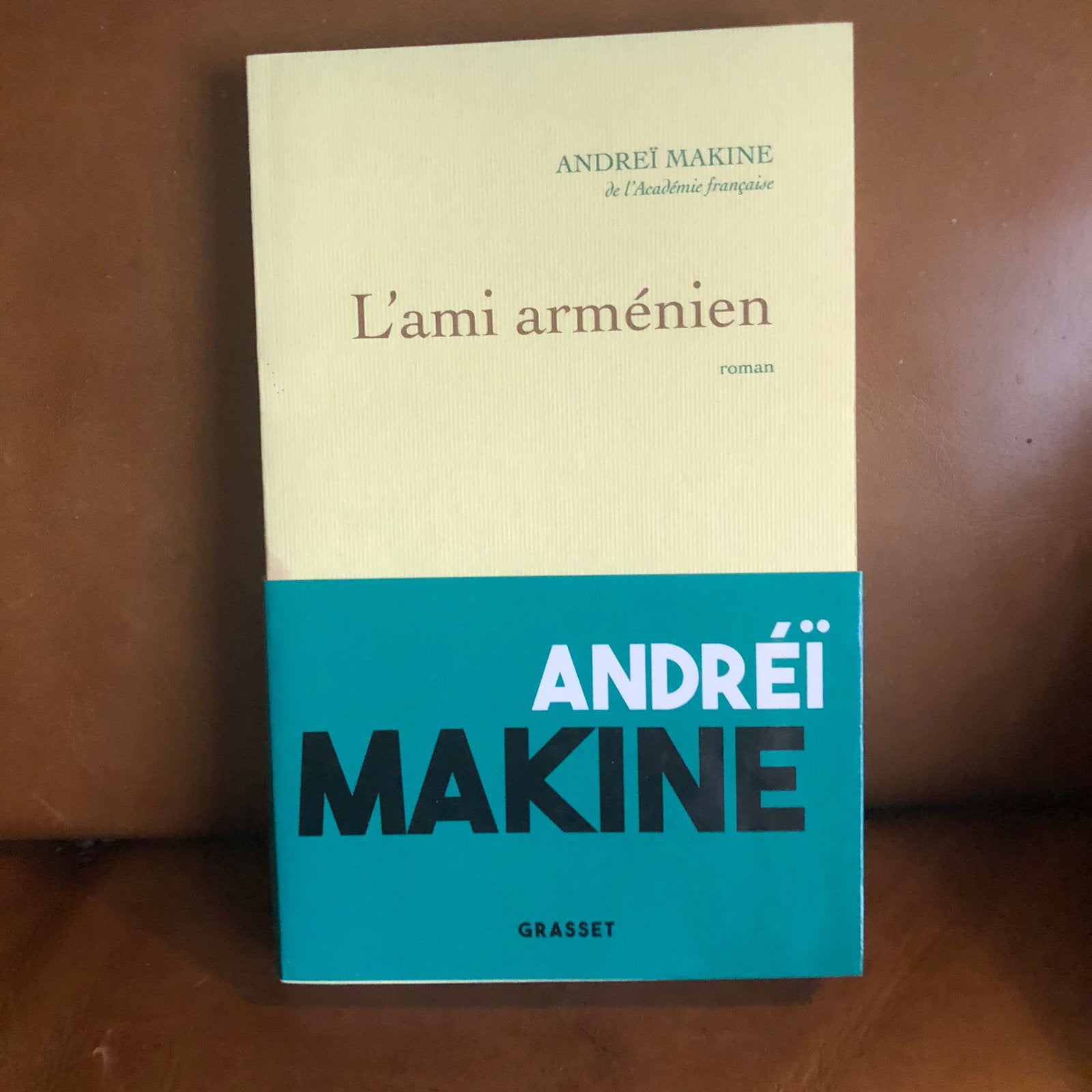 L ami arménien - Andrei Makine, Enlèvement
