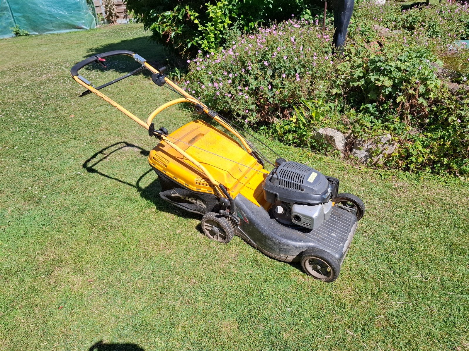 Grasmaaier, Tuin en Terras, Grasmaaiers, Ophalen