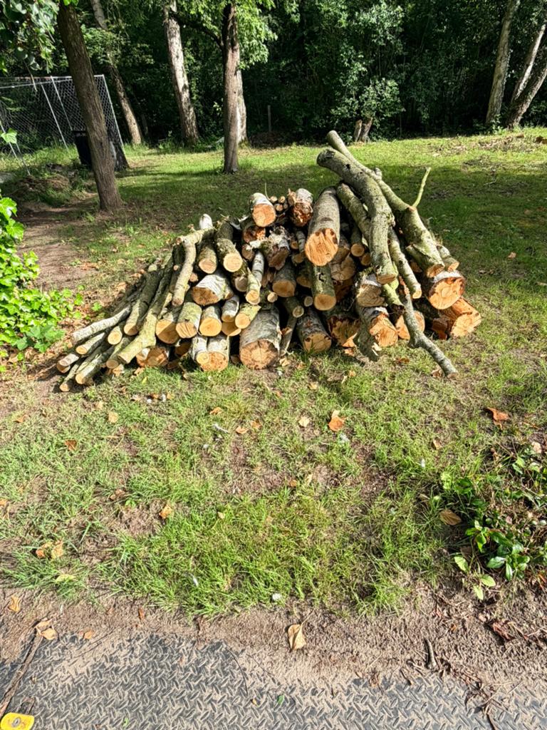 Brandhout, Ophalen