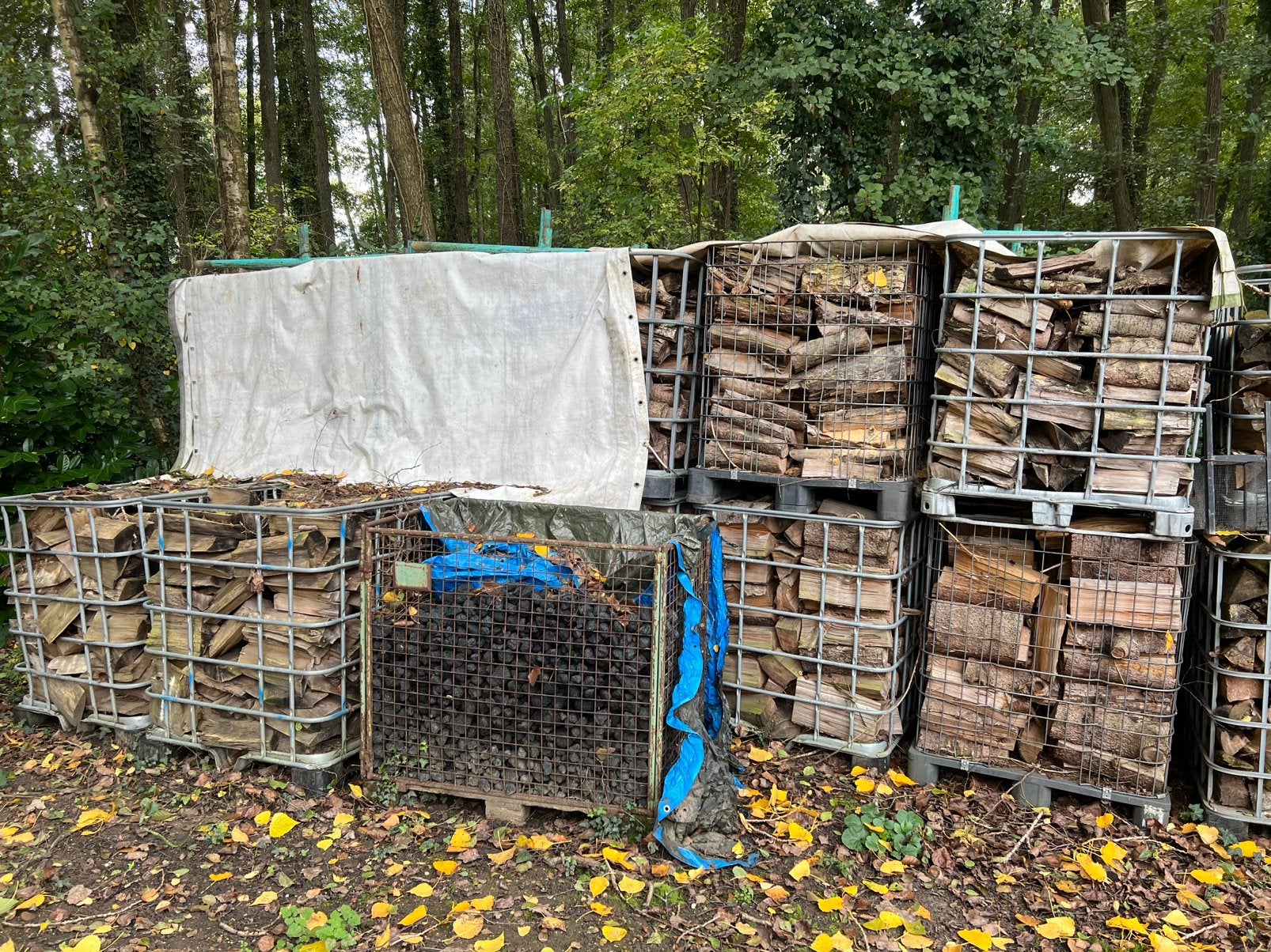 Geklieft brandhout gemengde, 6 m³ of meer, Ophalen