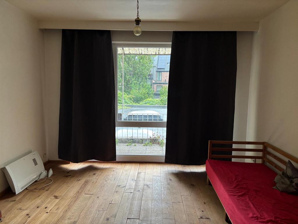Grote studio, Provincie Antwerpen