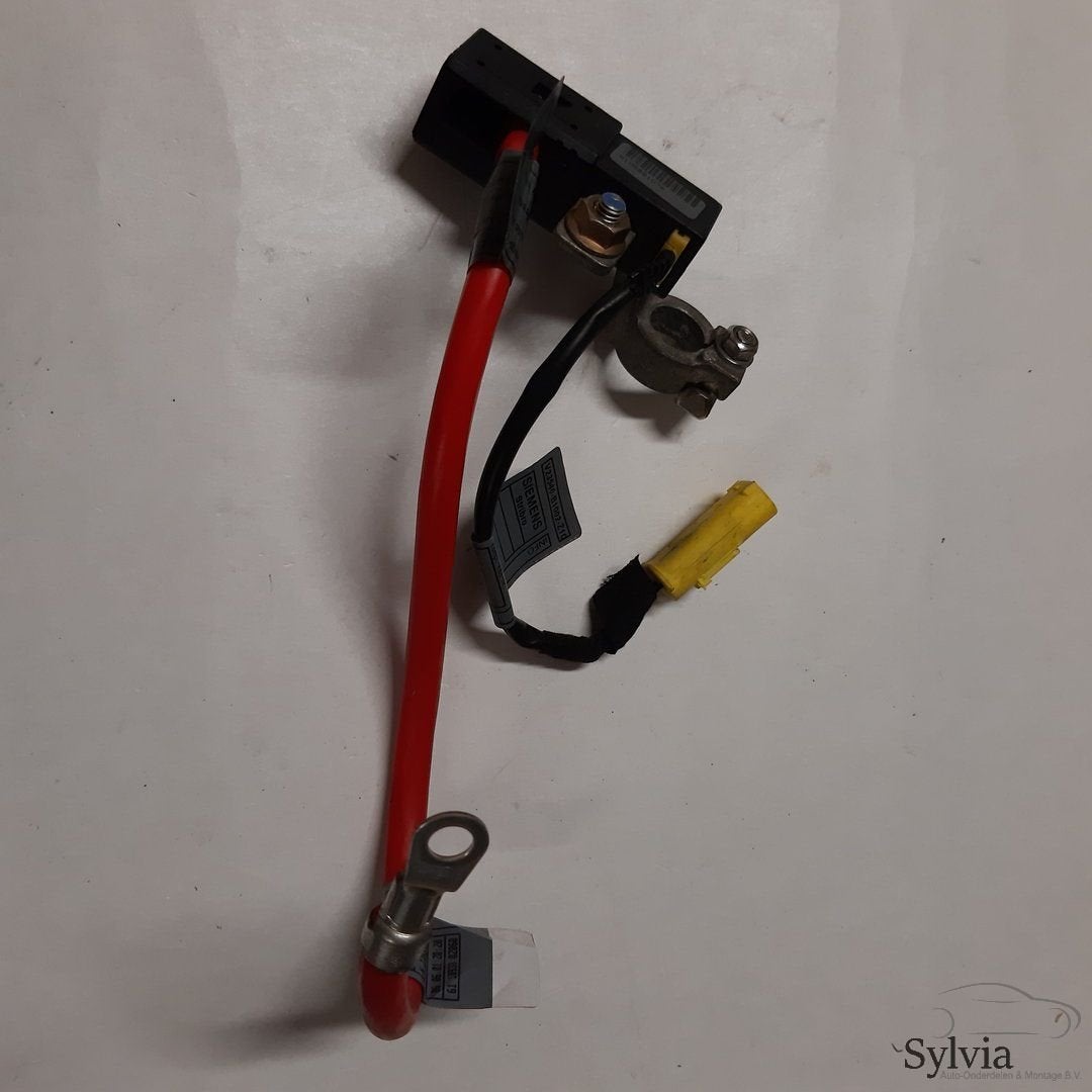 Kabelboom hoofdstroom pluskabel BMW 3 Serie E46 met ongeval, -, Utilisé, -, -