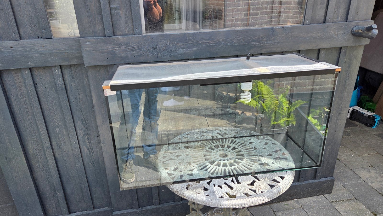 Terrarium, Enlèvement