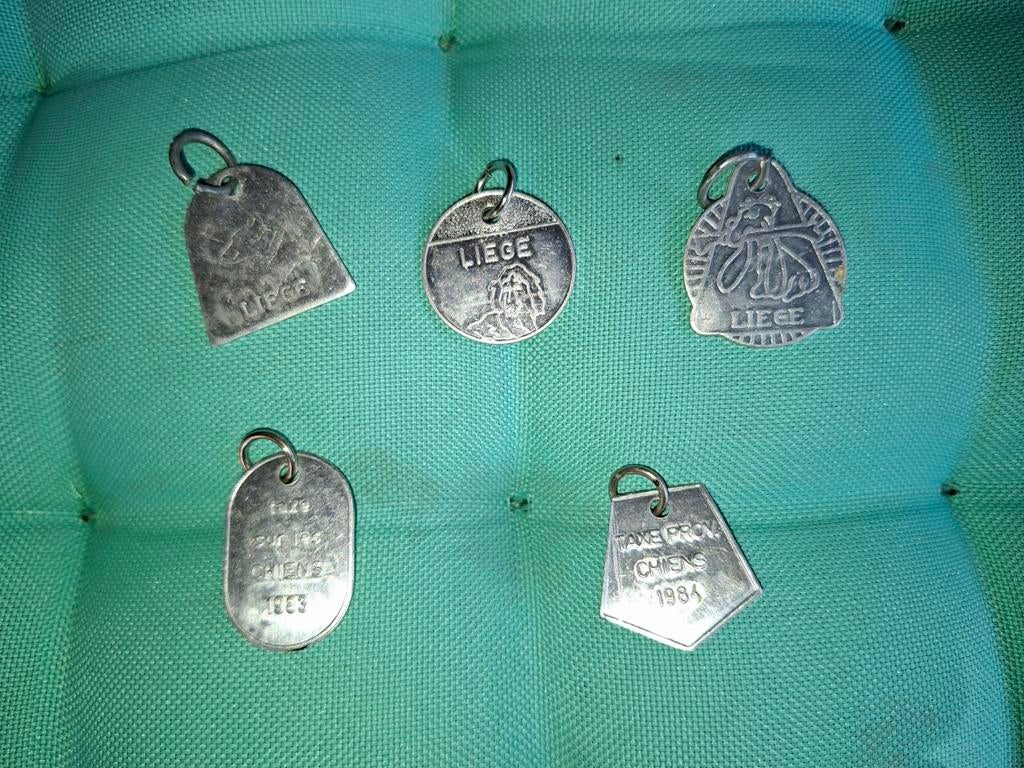 Médaille taxe chien, Animaux & Accessoires, Enlèvement ou Envoi